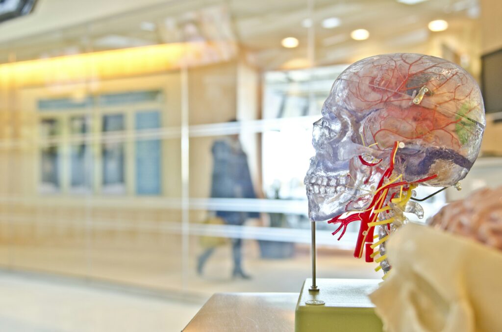 Physical Symptoms Following Brain Injury in Wisconsin: A Practical Guide for Recovery and Claims